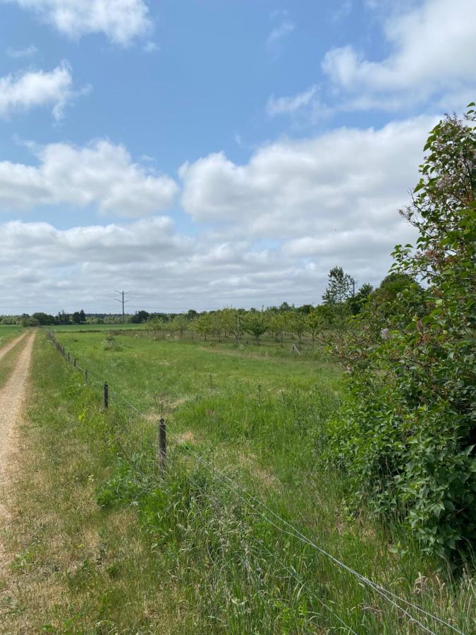 Apt17 - Just Outside Of - Rural And Quiet Surroundings Apartment *